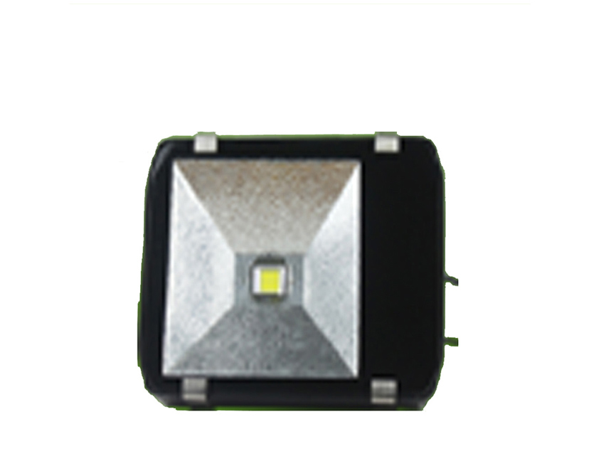 LED Flood Light FEH201